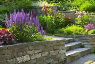 Step Garden